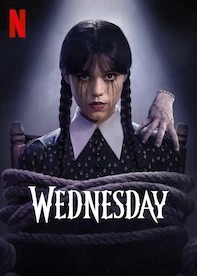 Banner Netflix - Seamae