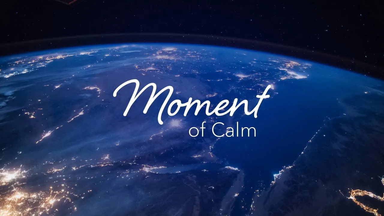 Calm Premium Cheap, Quality 1 Year 13 Image Calm Premium On Seamae