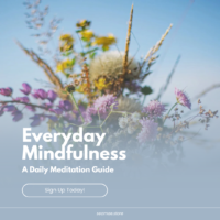 Home 27 Everyday Mindfulness: A Daily Meditation Guide
