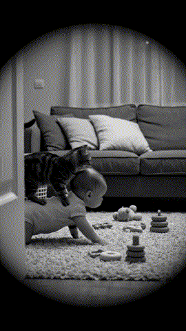 _video_style_cctv_202510100740
