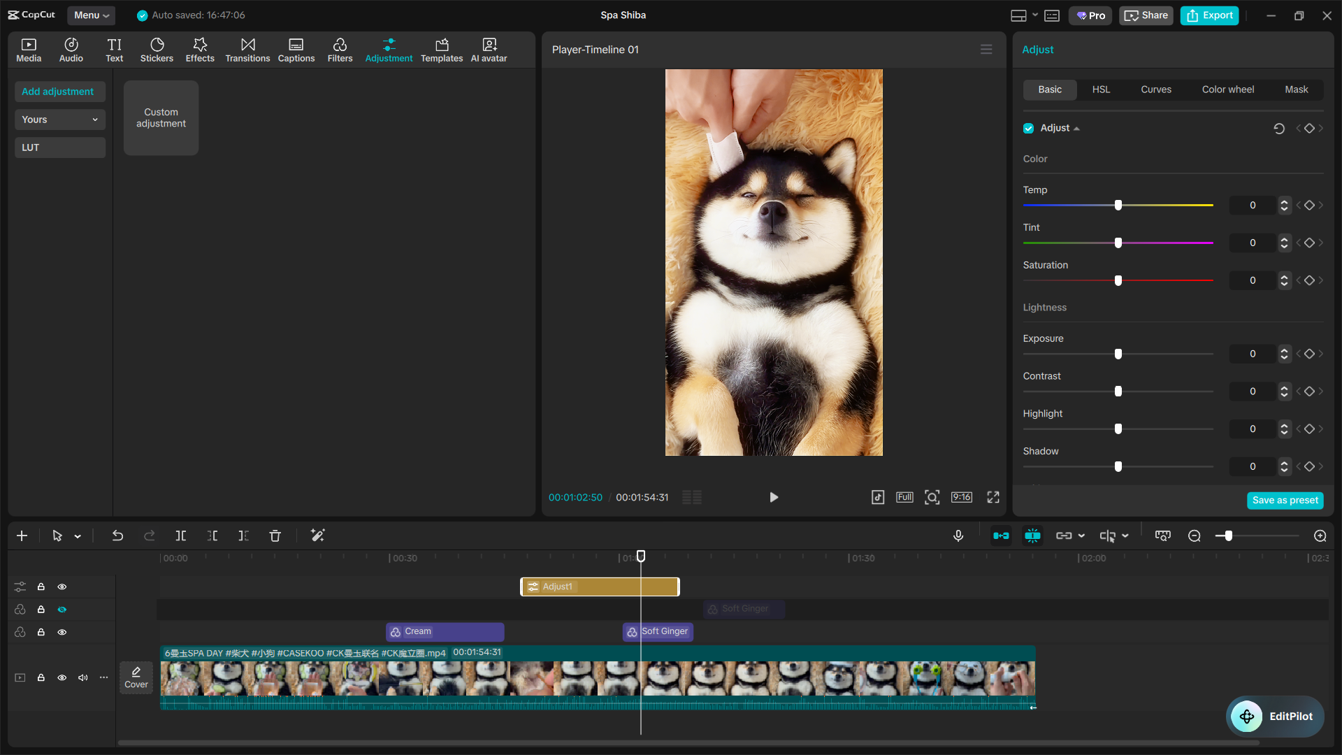 The Ultimate Capcut Color Grading Guide 6 Image 10