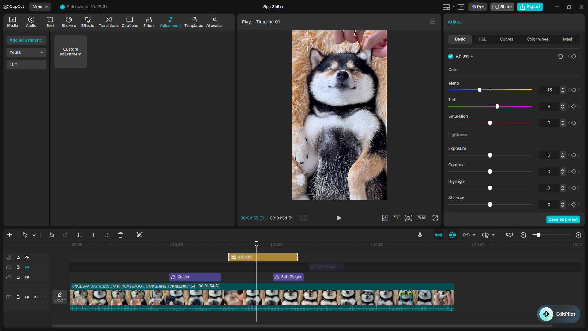 The Ultimate Capcut Color Grading Guide 7 Image 11