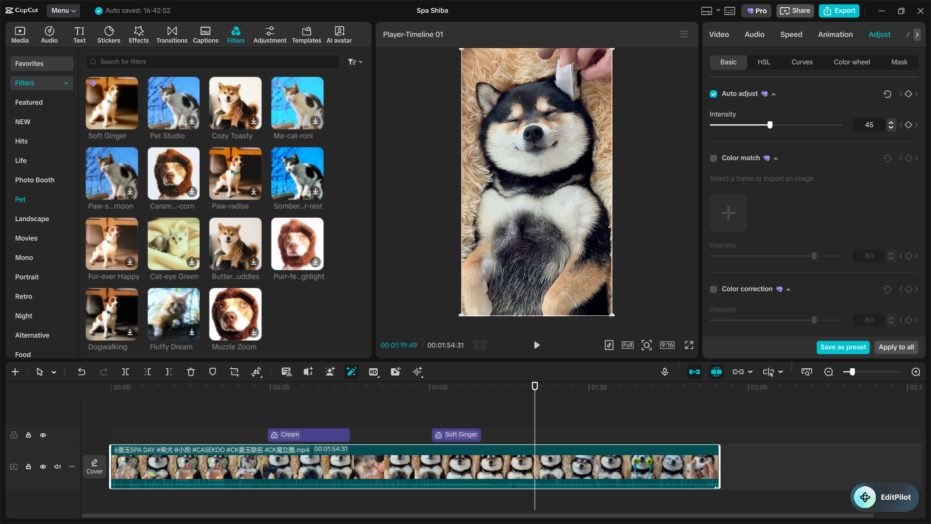 The Ultimate Capcut Color Grading Guide 5 Image 9